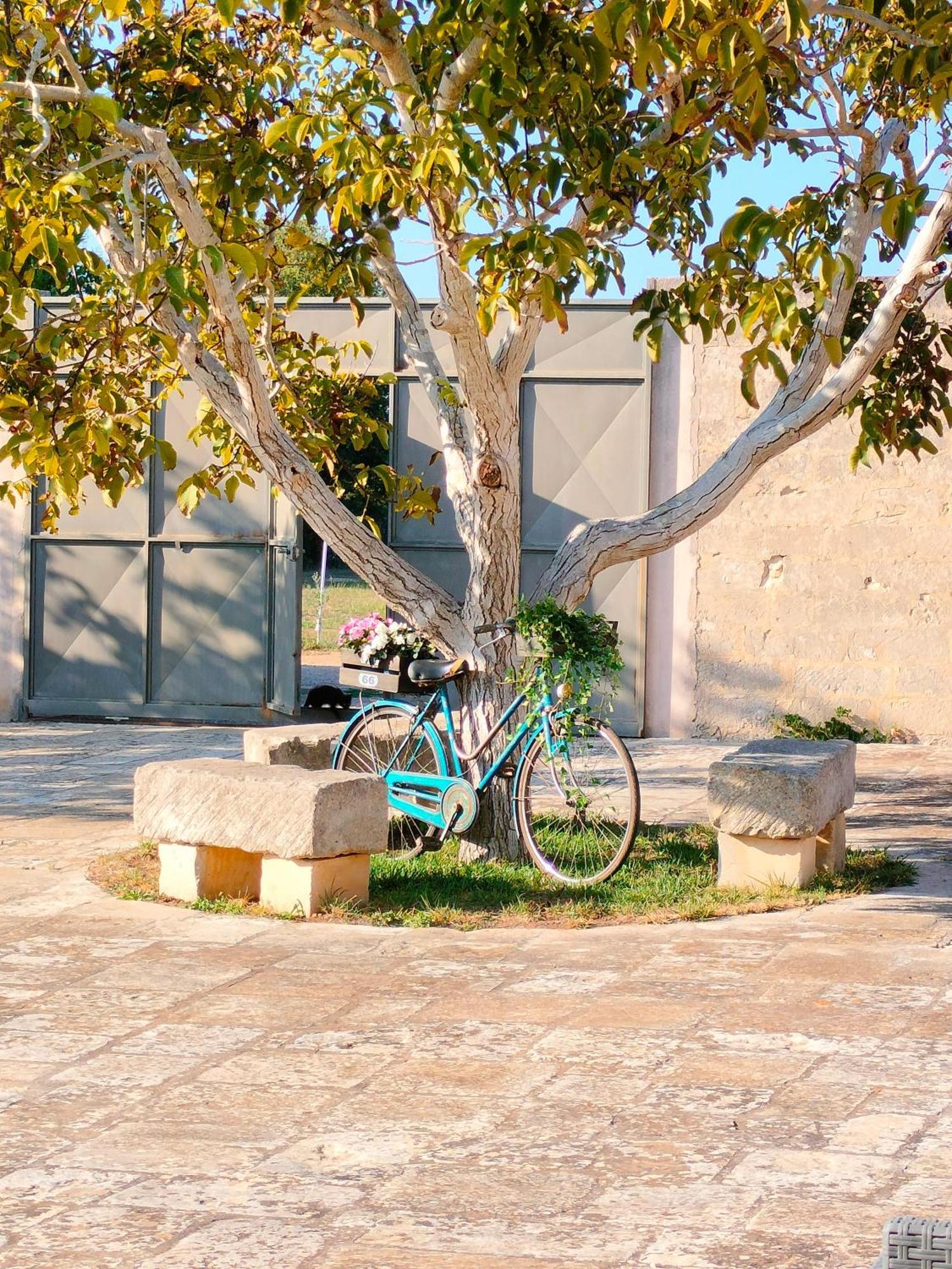 Masseria Furca Alimini Kültér fotó
